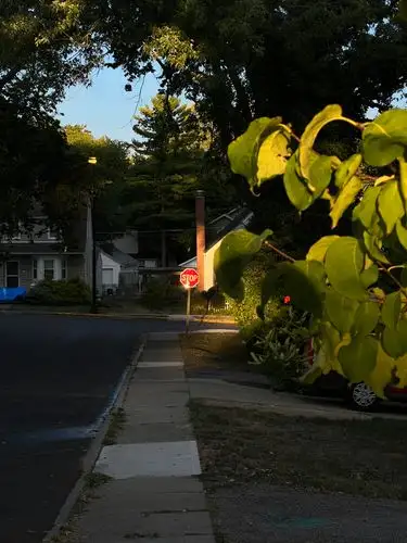 Golden hour's gentle embrace on a quiet street.